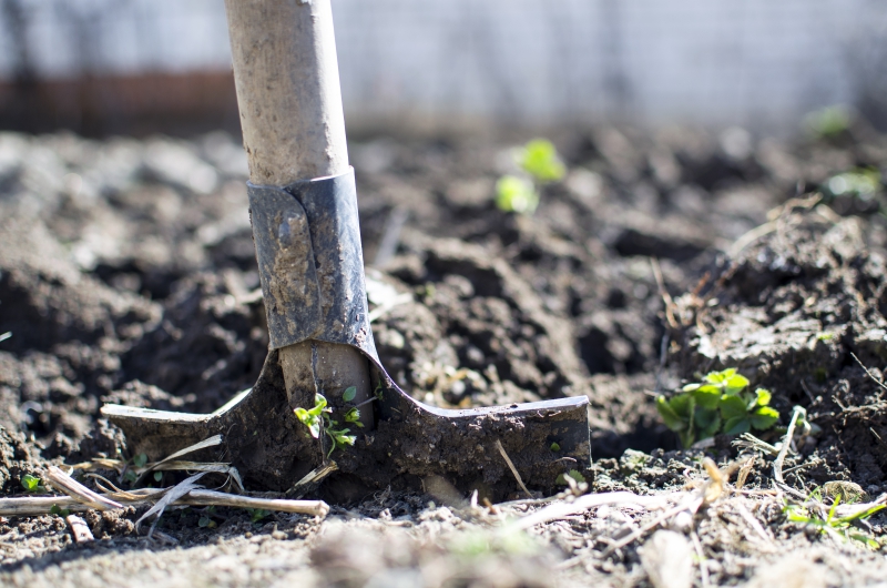 jardinerie-LA ROQUEBRUSSANNE-min_equipment-2047314